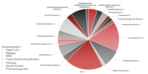 sarcoma-characterization